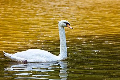 《荒野大镖客2》成英国2022年第九大畅销游戏